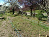 24-quilles-islandaises